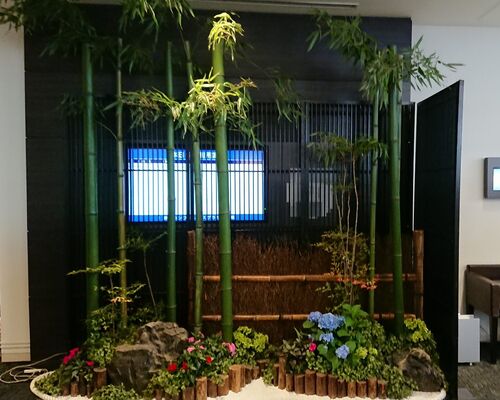 そめの近江様 催事