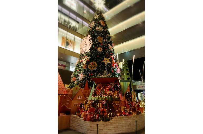 20-12-03-11-34-13-066_deco (002)