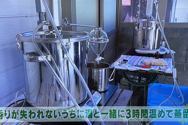 夏みかん蒸留