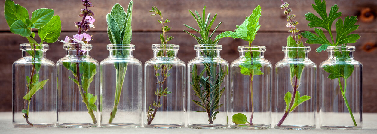 ＨＰトップ画面ハーブ