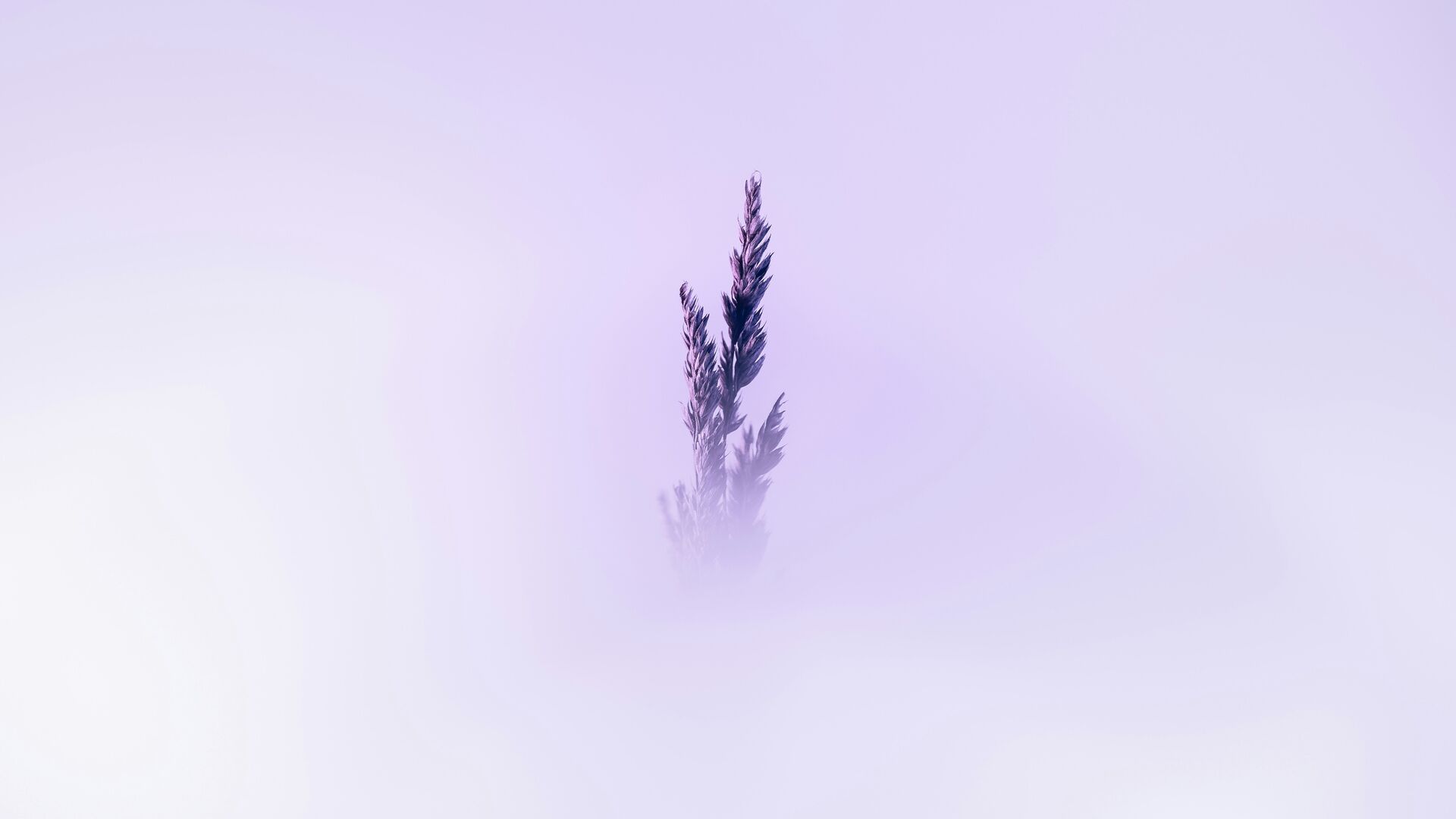 marek-piwnicki-oA4xFtQW2Gs-unsplash