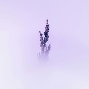 marek-piwnicki-oA4xFtQW2Gs-unsplash