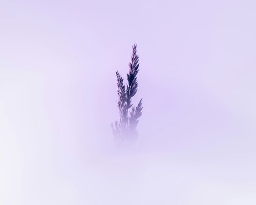 marek-piwnicki-oA4xFtQW2Gs-unsplash