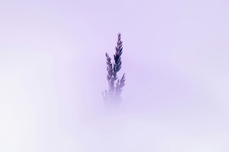 marek-piwnicki-oA4xFtQW2Gs-unsplash