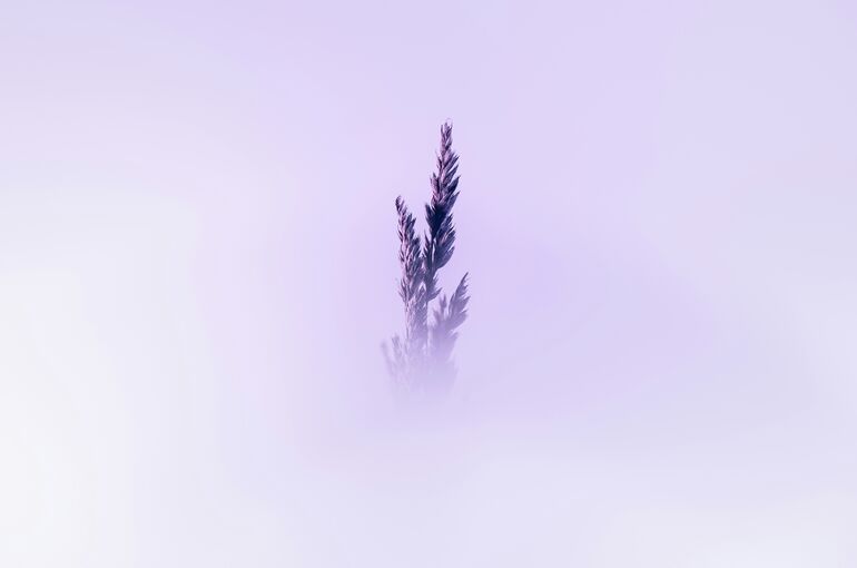 marek-piwnicki-oA4xFtQW2Gs-unsplash