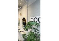 店内１